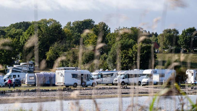 Campers op Lærkelunden Camping