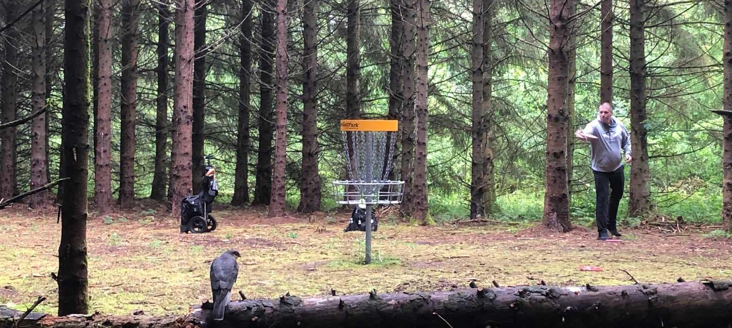 Disc Golf in het bos