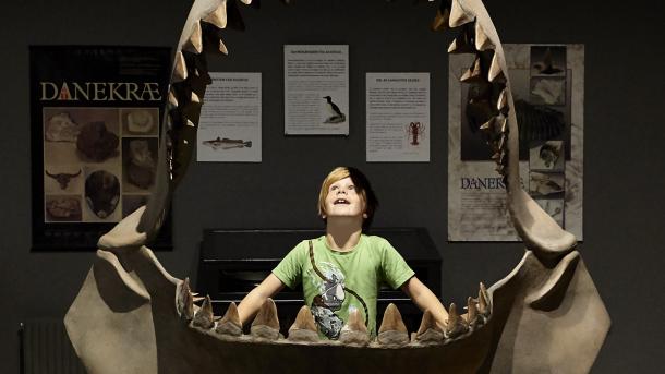 Enthousiast jongetje in het museum bij Gram Lergrav