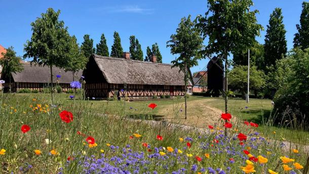 Arkæologi Haderslev med blomstermark