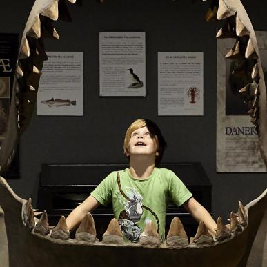 Enthousiast jongetje in het museum bij Gram Lergrav