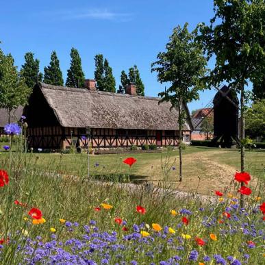 Arkæologi Haderslev med blomstermark